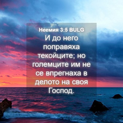 Picture 04 - Неемия 3:5 BULG - И до него поправяха - Bible Verse Picture