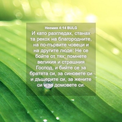 Picture 04 - Неемия 4:14 BULG - И като разгледах, станах та - Bible Verse Picture