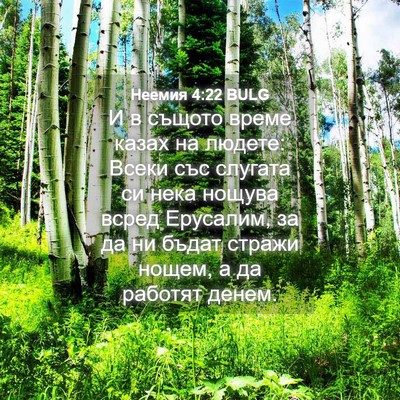 Picture 04 - Неемия 4:22 BULG - И в същото време казах на - Bible Verse Picture