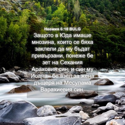 Picture 04 - Неемия 6:18 BULG - Защото в Юда имаше мнозина, - Bible Verse Picture