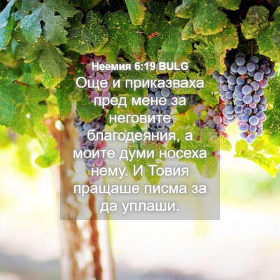 Picture 04 - Неемия 6:19 BULG - Още и приказваха пред мене - Bible Verse Picture