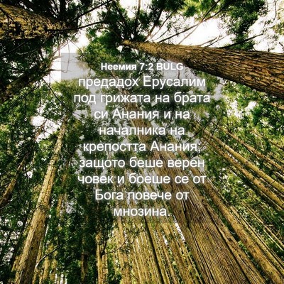 Picture 04 - Неемия 7:2 BULG - предадох Ерусалим под - Bible Verse Picture