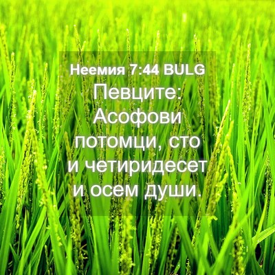 Picture 04 - Неемия 7:44 BULG - Певците: Асофови потомци, - Bible Verse Picture