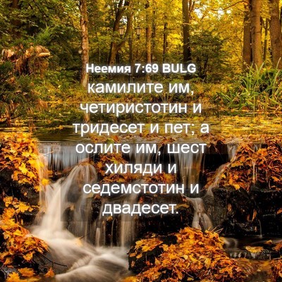 Picture 04 - Неемия 7:69 BULG - камилите им, четиристотин - Bible Verse Picture