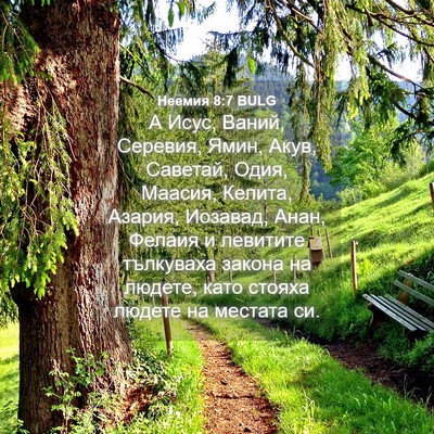 Picture 04 - Неемия 8:7 BULG - А Исус, Ваний, Серевия, - Bible Verse Picture