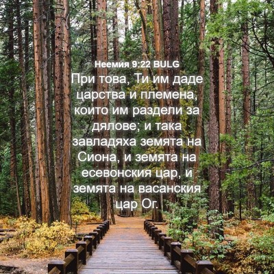Picture 04 - Неемия 9:22 BULG - При това, Ти им даде - Bible Verse Picture