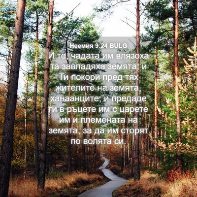 Picture 04 - Неемия 9:24 BULG - И те, чадата им влязоха та - Bible Verse Picture