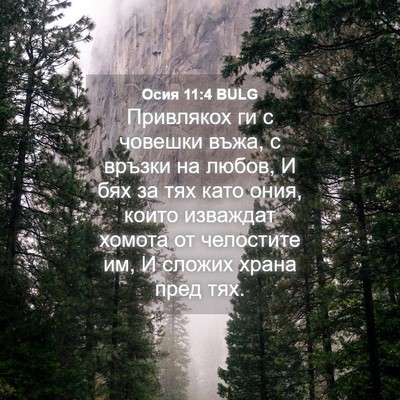 Picture 04 - Осия 11:4 BULG - Привлякох ги с човешки - Bible Verse Picture