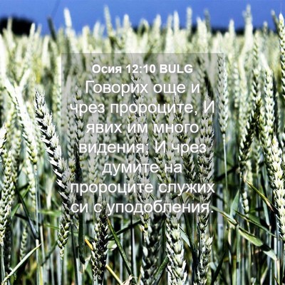 Picture 04 - Осия 12:10 BULG - Говорих още и чрез - Bible Verse Picture