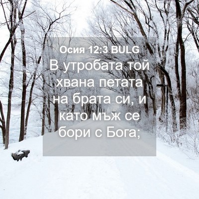 Picture 04 - Осия 12:3 BULG - В утробата той хвана - Bible Verse Picture