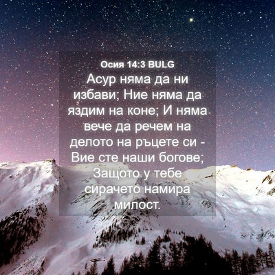 Picture 04 - Осия 14:3 BULG - Асур няма да ни избави; Ние - Bible Verse Picture