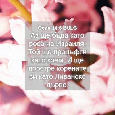 Picture 04 - Осия 14:5 BULG - Аз ще бъда като роса на - Bible Verse Picture