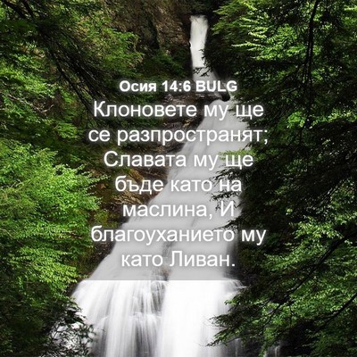 Picture 04 - Осия 14:6 BULG - Клоновете му ще се - Bible Verse Picture