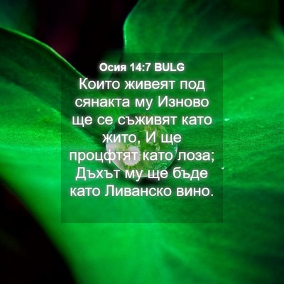 Picture 04 - Осия 14:7 BULG - Които живеят под сянакта - Bible Verse Picture