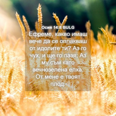 Picture 04 - Осия 14:8 BULG - Ефреме, какво имаш вече да - Bible Verse Picture