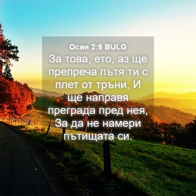 Picture 04 - Осия 2:6 BULG - За това, ето, аз ще препреча - Bible Verse Picture