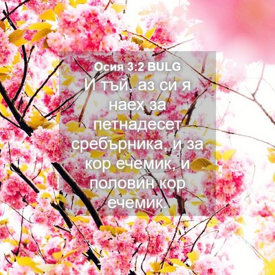 Picture 04 - Осия 3:2 BULG - И тъй, аз си я наех за - Bible Verse Picture