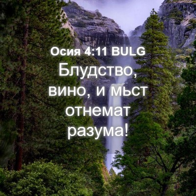 Picture 04 - Осия 4:11 BULG - Блудство, вино, и мьст - Bible Verse Picture