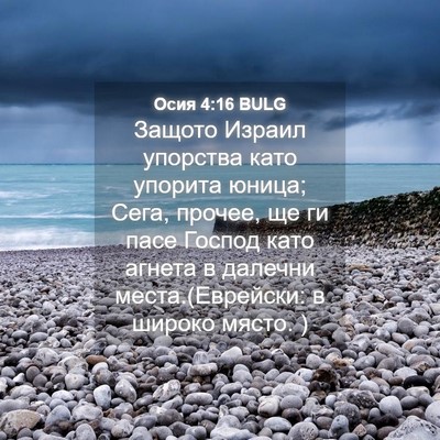 Picture 04 - Осия 4:16 BULG - Защото Израил упорства - Bible Verse Picture