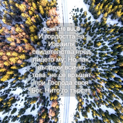 Picture 04 - Осия 7:10 BULG - И гордостта на Израиля - Bible Verse Picture