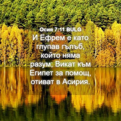 Picture 04 - Осия 7:11 BULG - И Ефрем е като глупав - Bible Verse Picture