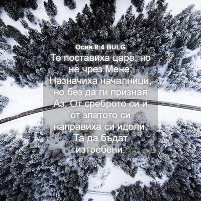 Picture 04 - Осия 8:4 BULG - Те поставиха царе, но не - Bible Verse Picture