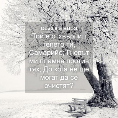 Picture 04 - Осия 8:5 BULG - Той е отхвърлил телето ти, - Bible Verse Picture