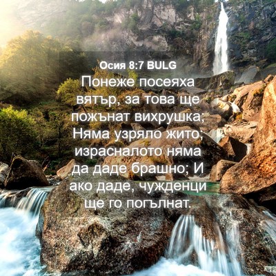 Picture 04 - Осия 8:7 BULG - Понеже посеяха вятър, за - Bible Verse Picture