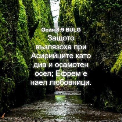 Picture 04 - Осия 8:9 BULG - Защото възлязоха при - Bible Verse Picture