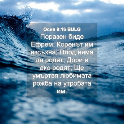 Picture 04 - Осия 9:16 BULG - Поразен биде Ефрем; - Bible Verse Picture