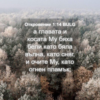 Picture 04 - Откровение 1:14 BULG - а главата и косата Му бяха - Bible Verse Picture