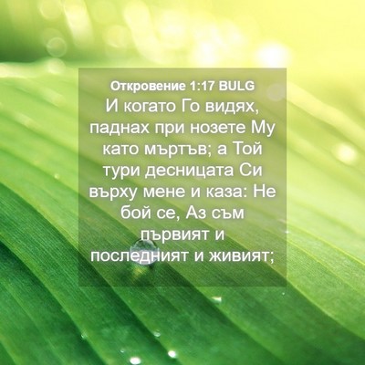 Picture 04 - Откровение 1:17 BULG - И когато Го видях, паднах - Bible Verse Picture