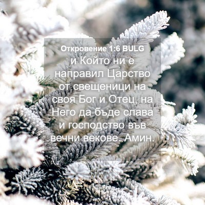 Picture 04 - Откровение 1:6 BULG - и Който ни е направил - Bible Verse Picture