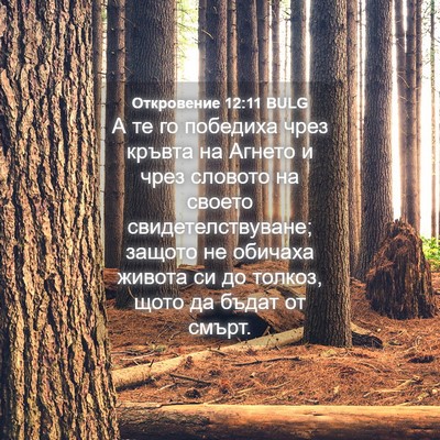 Picture 04 - Откровение 12:11 BULG - А те го победиха чрез - Bible Verse Picture