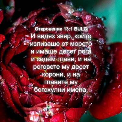 Picture 04 - Откровение 13:1 BULG - И видях звяр, който - Bible Verse Picture
