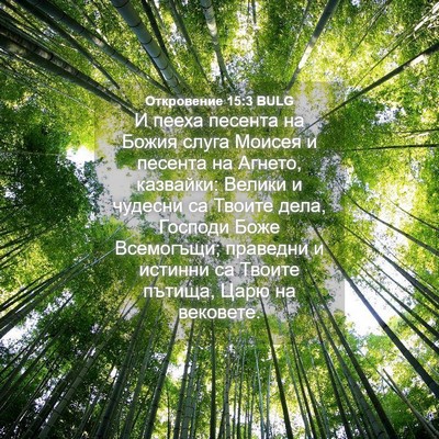 Picture 04 - Откровение 15:3 BULG - И пееха песента на Божия - Bible Verse Picture