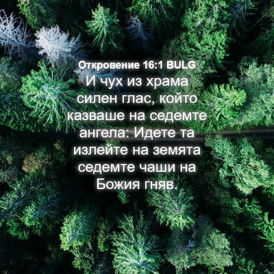 Picture 04 - Откровение 16:1 BULG - И чух из храма силен глас, - Bible Verse Picture