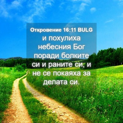 Picture 04 - Откровение 16:11 BULG - и похулиха небесния Бог - Bible Verse Picture