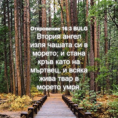 Picture 04 - Откровение 16:3 BULG - Втория ангел изля чашата - Bible Verse Picture