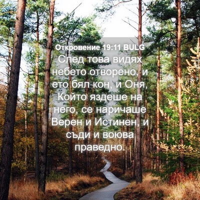 Picture 04 - Откровение 19:11 BULG - След това видях небето - Bible Verse Picture