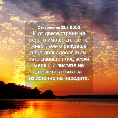 Picture 04 - Откровение 22:2 BULG - И от двете страни на реката - Bible Verse Picture