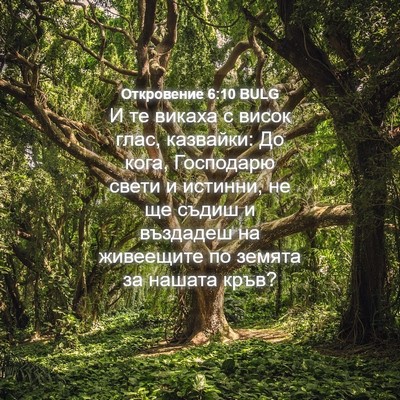 Picture 04 - Откровение 6:10 BULG - И те викаха с висок глас, - Bible Verse Picture
