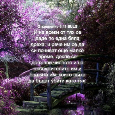 Picture 04 - Откровение 6:11 BULG - И на всеки от тях се даде по - Bible Verse Picture