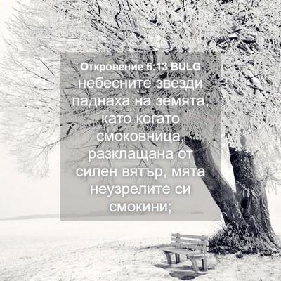 Picture 04 - Откровение 6:13 BULG - небесните звезди паднаха - Bible Verse Picture