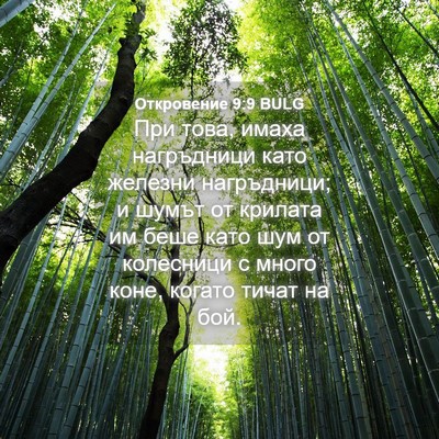 Picture 04 - Откровение 9:9 BULG - При това, имаха нагръдници - Bible Verse Picture