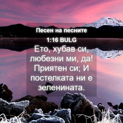 Picture 04 - Песен на песните 1:16 BULG - Ето, хубав си, любезни ми, - Bible Verse Picture