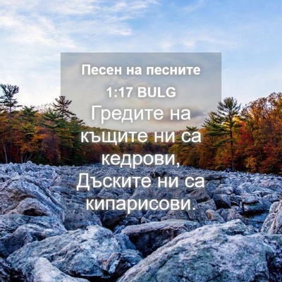 Picture 04 - Песен на песните 1:17 BULG - Гредите на къщите ни са - Bible Verse Picture