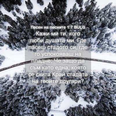 Picture 04 - Песен на песните 1:7 BULG - Кажи ми ти, кого люби - Bible Verse Picture