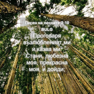 Picture 04 - Песен на песните 2:10 BULG - Проговаря възлюбленият ми - Bible Verse Picture