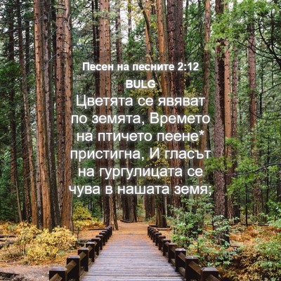 Picture 04 - Песен на песните 2:12 BULG - Цветята се явяват по - Bible Verse Picture